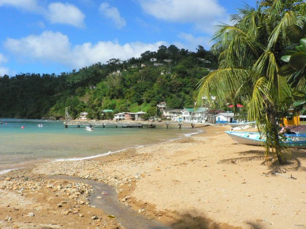 15- La plage de Charlotteville 